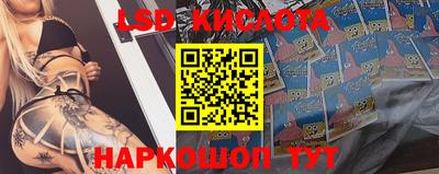 гашик Кандалакша