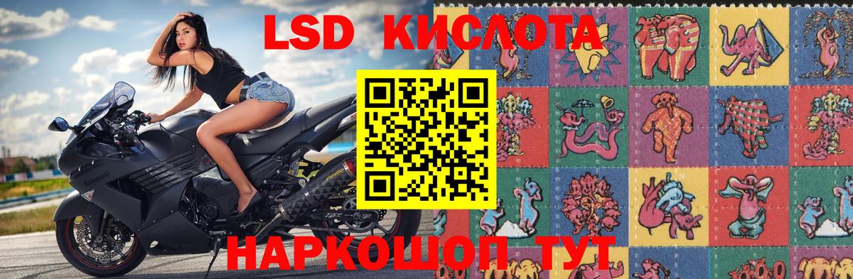 Красный Сулин  Марки N-bome 1,8мг  Марки N-bome 1,8мг  Вход с VPN 