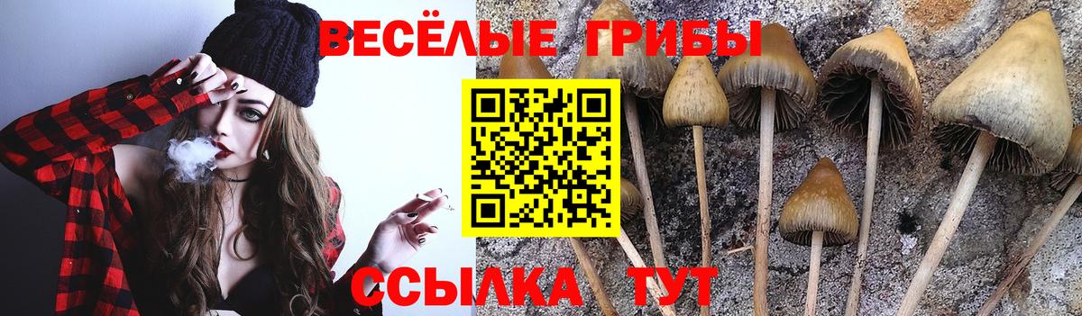 Псилоцибиновые грибы GOLDEN TEACHER Красный Сулин