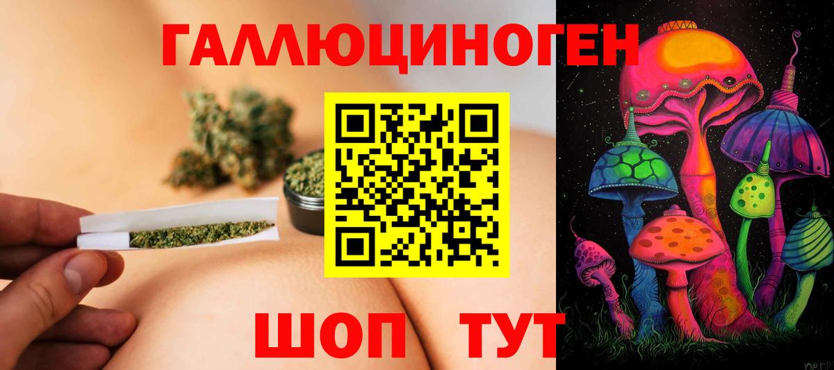 Красный Сулин  Псилоцибиновые грибы GOLDEN TEACHER  Вход с VPN 